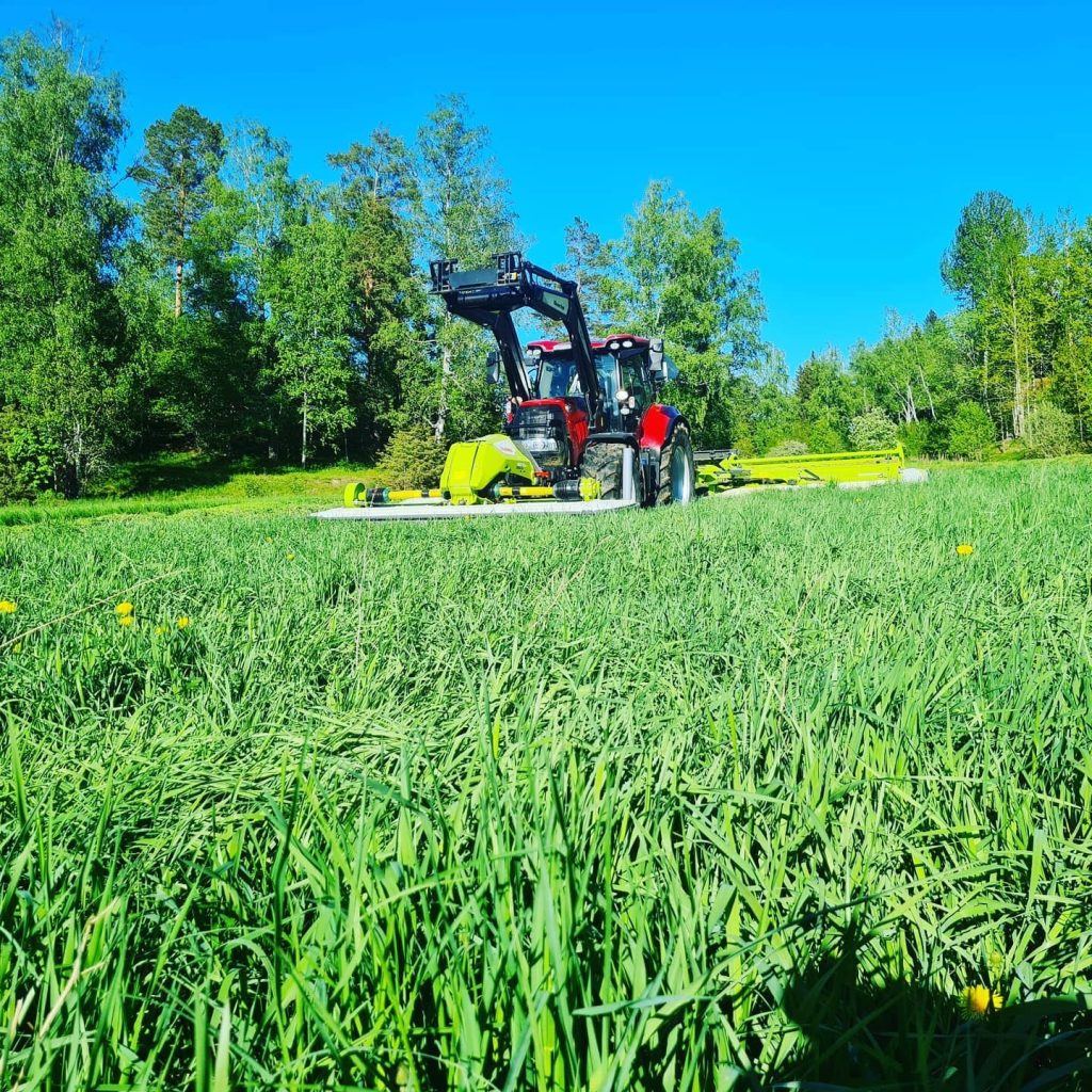 193798026 2983071321968184 3459430803950480373 n