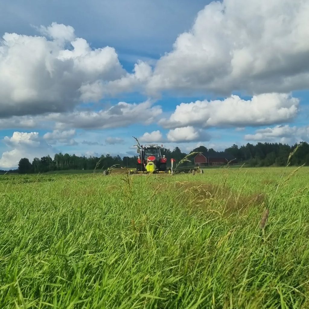 292517301 578716230306058 8860974382153759164 n