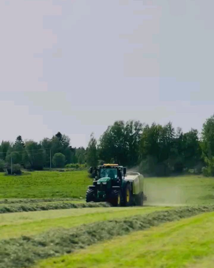 505139649 18066421172024419 4192498313994738826 n